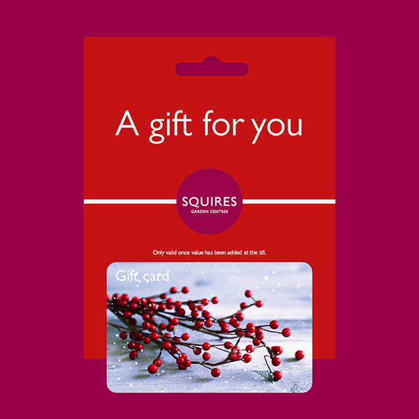 Squire's Gift Card - Winter